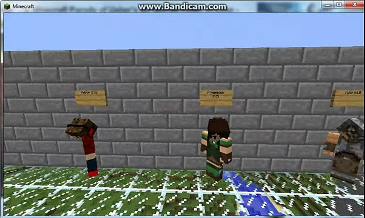TerraNodeCraft [24/7] [no lag] [factions] song revenge [captiansparkelz]