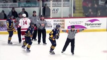 Highlights: Cornell Men's Ice Hockey vs. Quinnipiac - 2/6/15