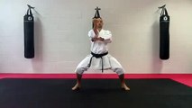 Tekki Nidan bunkai - section 2 - Shinri karate schools