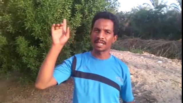وزارة الري ومحافظة الوادي الجديد يقتلان اطفال 100 أسرة من سكان حي البستان بواحة الخارجة بسبب مصرف زراعي يخرج منه ثعابين وعقارب - سكان حي البستان - اطفالنا تموت كل يوم من العقارب