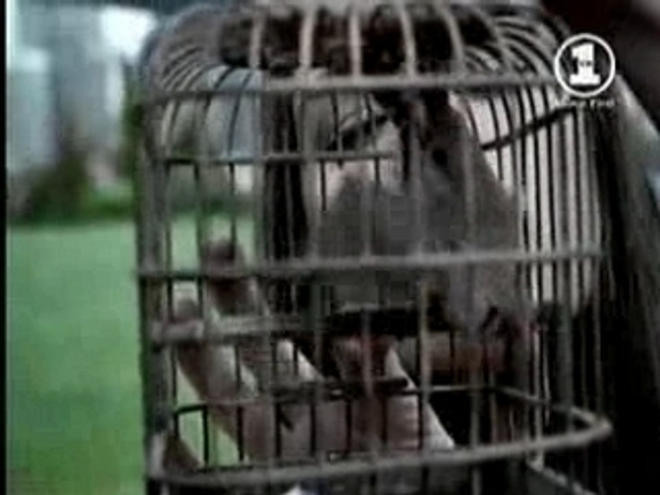 Lene Marlin - Unforgivable Sinner (Version 3)