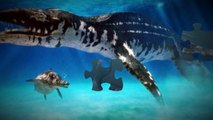 Los 10 monstruos marinos mas famosos parte 2