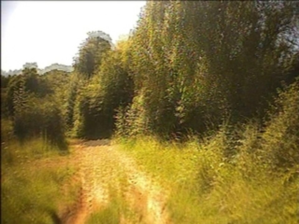 Parcour des Crapauds 2007 (2)