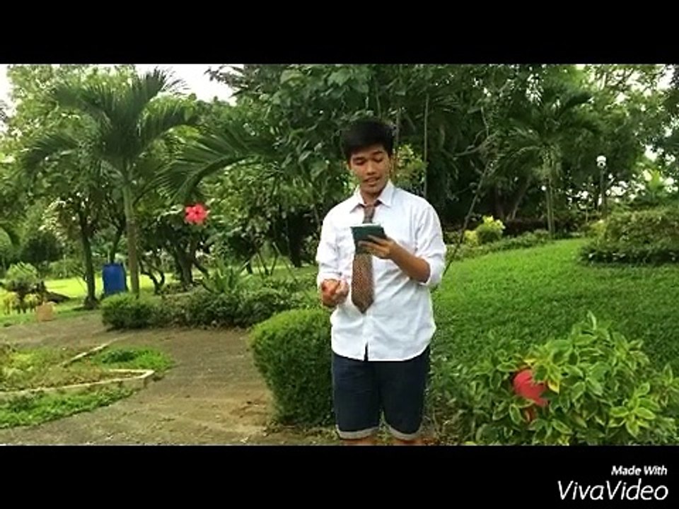 JUDE. BATINO,UNTALAN,ANCIRO,AUSTRIA,CAPILI