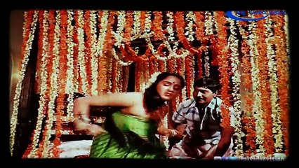 Super Hit Songs Collection 🎶