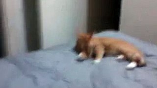 video-2011-04-16-00-46-26