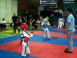 The Questionable Decision- Gold Medal Match, 2/28 CPJ Taekwondo Tournament