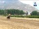 Tibetan horse riders make everyone amazed with stunts in Lhasa
