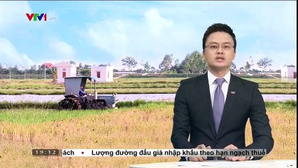 Hải Phòng: Hàng nghìn hộ dân bị “ỉm” tiền hỗ trợ nội đồng