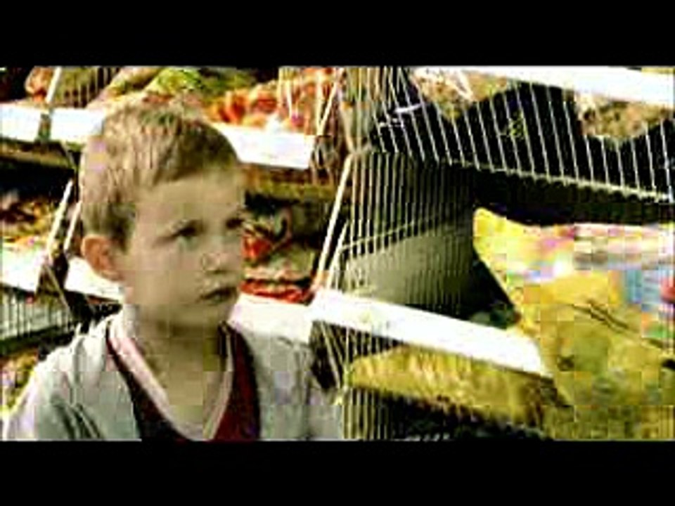 I want those Sweeties | Funny clip | Funny chid