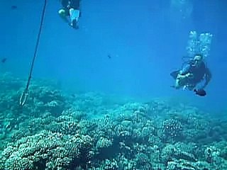 7 23 07 French Polynesia   Diving 029