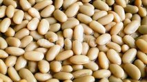 White Kidney Beans Rotating - Stock Footage | VideoHive 15560464