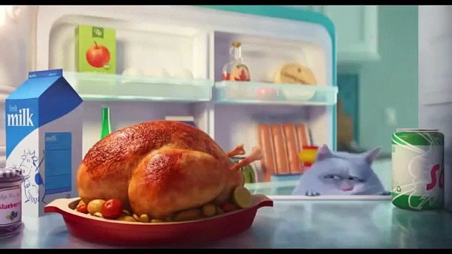 Как не есть после шести часов вечера. Лайфхак от кота :)