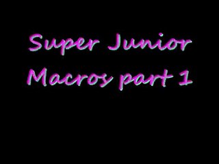 Super Junior Macros Part 1!!!