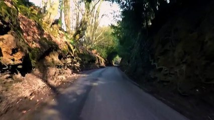 Eric Clapton I Still Do (new album)