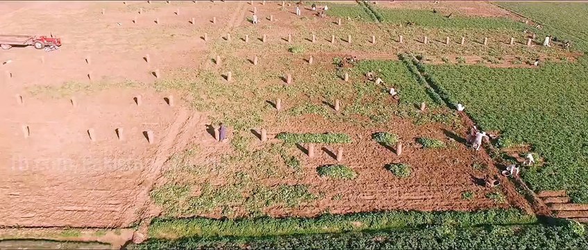 Ser uth k geo new Pakistani movie-on chotoo gang-2016 True story Based in Rajan Pur Pakistan