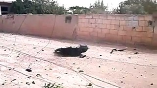 حمص الرستن اطلاق النار على اي متحرك 29-9
