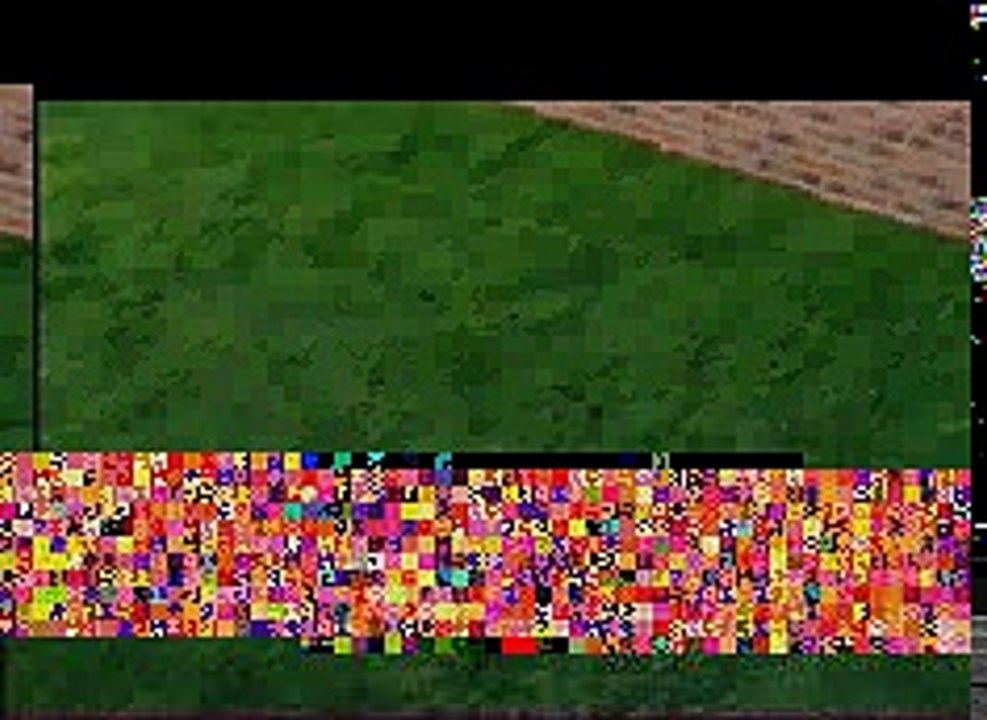 Stupid Dog | Funny Stupid | Funny dog | Funny Animal