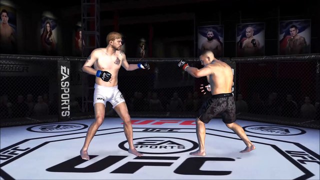 Ultimate Fighting Championship Fight