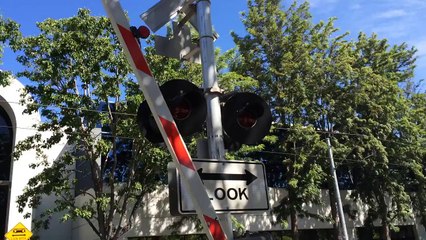 Sobrato Company Private Pedestrian Railroad Crossing (New E-Bell)