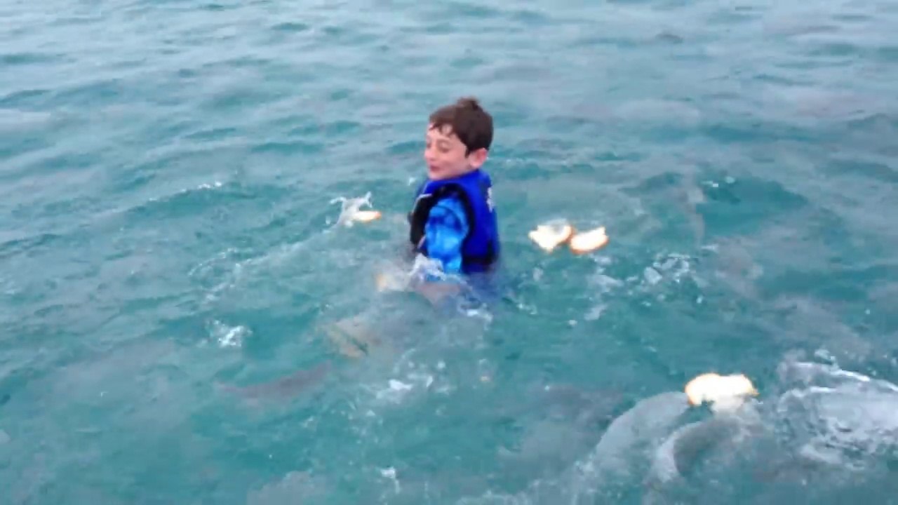 Comment se faire des potes poissons dans la mer!