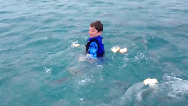 Comment se faire des potes poissons dans la mer!