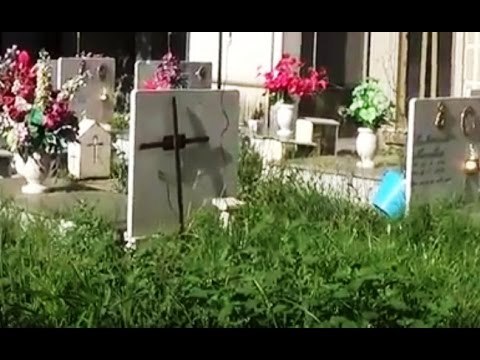 Aversa (CE) - Erbacce al cimitero, la protesta del Campo R (30.06.16)