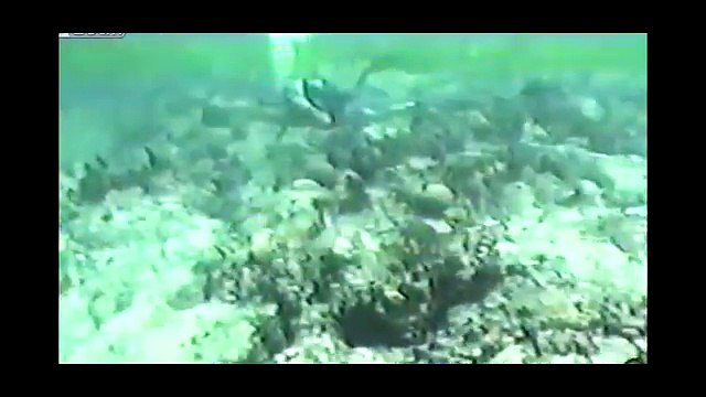 Treasure Hunter Plans To Find Osama bin Ladens Casket In The Arabian Sea