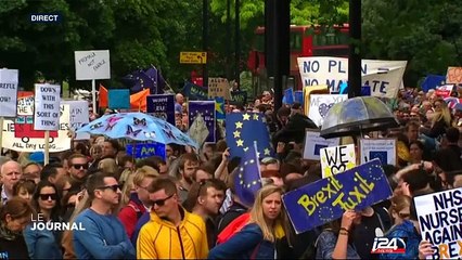 "EU we love you": Manifestation anti-Brexit à Londres
