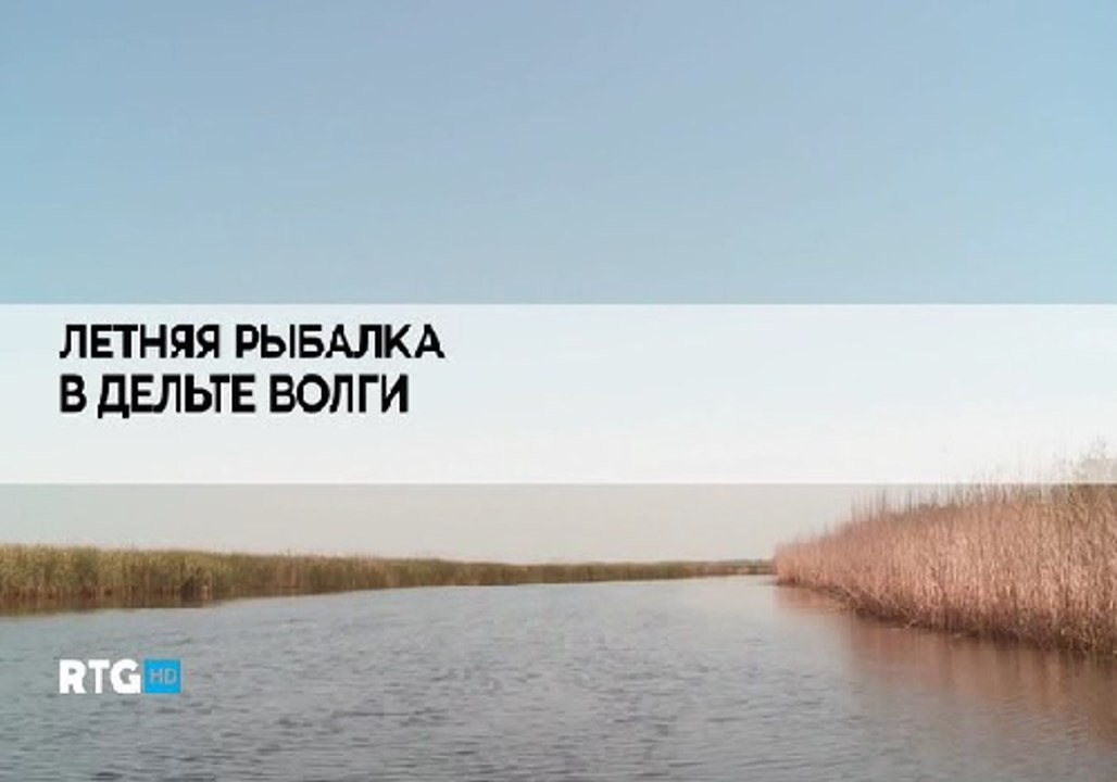 Летняя рыбалка в дельте Волги