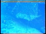 Immersione relitto di Cecina 68mt. (2° clip) Beppe