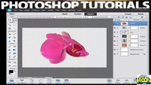 Tutorial Photoshop Elements 12 - How to Use Layers Part 5_ Using Blending Layers in PSE 12