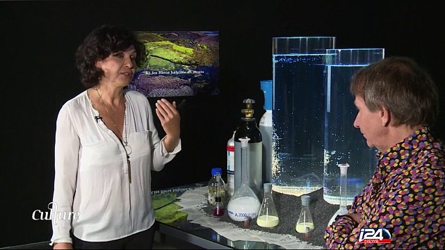 Je ne sais pas pourquoi j'aime Israël, je m'y sens bien , Michel Houellebecq