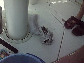 LA PESCA MILAGROSA EN PUEBLA