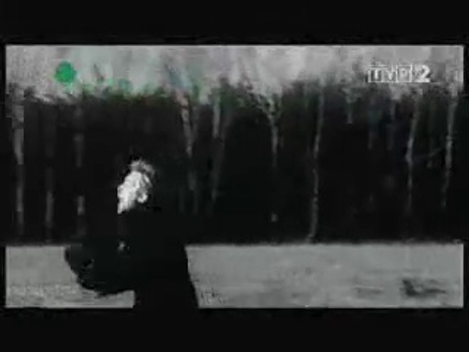 Aleksandra Klonowska Beata Regina Magdalena Paradiuk Beti Miska  Z pozdrowieniami od dzięcioła 