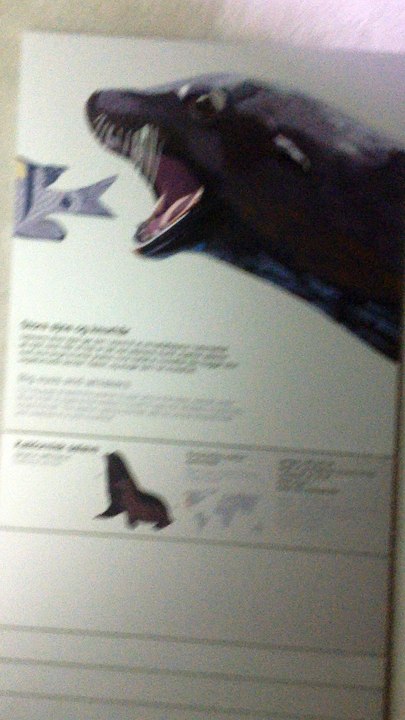 in zoo 8