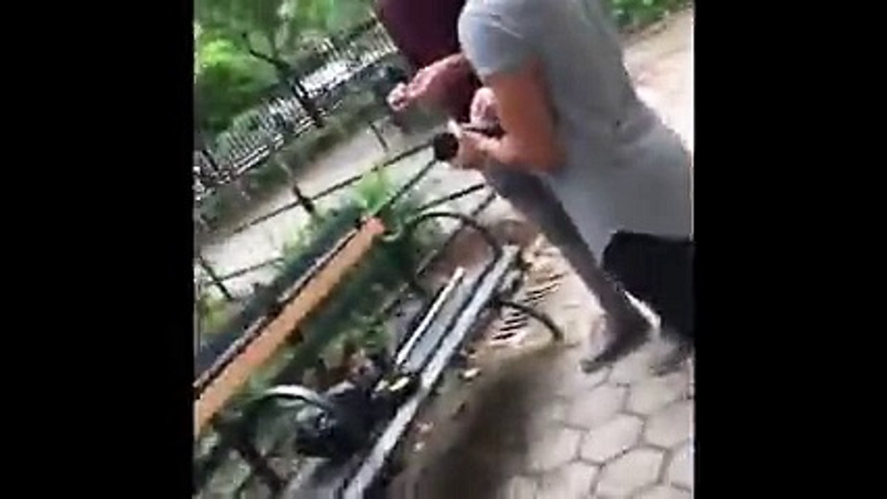 ADAM SALEH AND SLIMMOFICATION GET ATTACKED AND...
