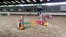 Tilly & Bess Wellington Riding Club Combined Training Show