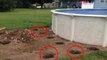 Kako napraviti nevjerovatan bazen u dvoristu