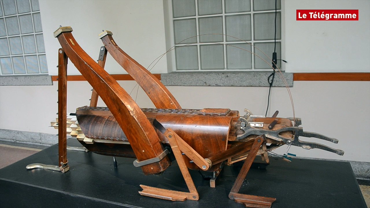 Rennes. La métamorphose d'instruments de musique en insectes