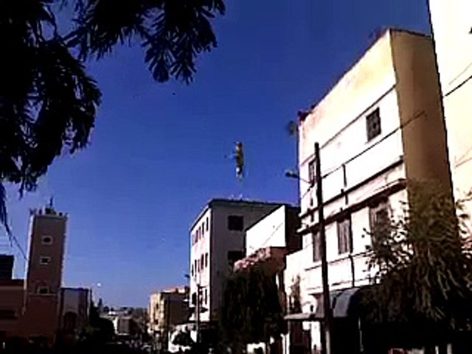 الكبش الطائر بولاية عنابة  annaba 23