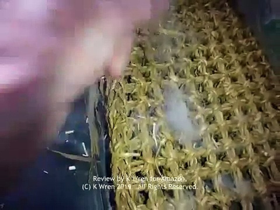 Philips FC8578 Performer Active Bagged Cylinder Vacuum Cleaner Review, Powerful, lightweight vacuum