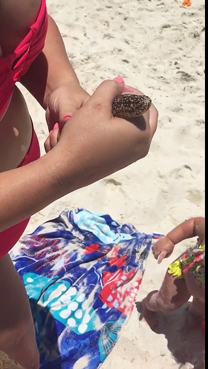 Excited sea cucumber!