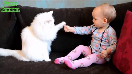 WHEN CATS BABIES COLLIDE 2016 HD