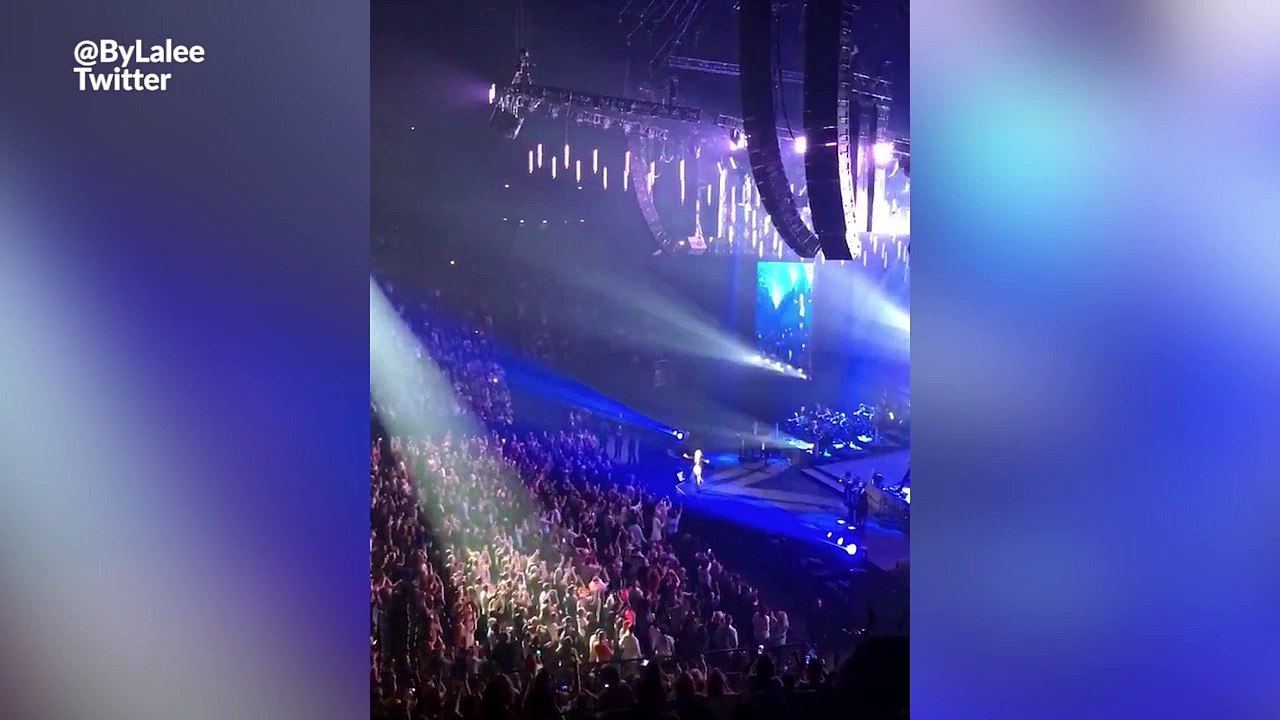 Pendant France Islande, Céline Dion donne le score du match en plein concert