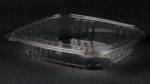 Genpak AD32 Clear Hinged Lid Plastic Containers 1 compartment AD32GP Catego