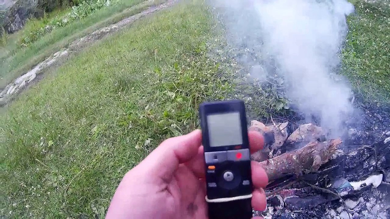 INVESTIGATION IN THE WOODS 04-06-2016