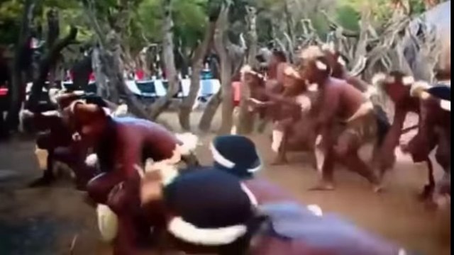 Zulu tribe dance ceramony - African People Traditions and Ceremonies, Lifestyle -