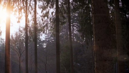 Amazing Ad of Mercedes Benz