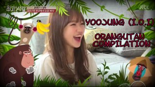 I.O.I (아이오아이) CHOI YOOJUNG ( 최유정 ) - ORANGUTAN COMPILATION || fightingkathy